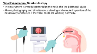 Comprehensive Review of Ear, Nose, and Throat Anatomy and Physiology ...