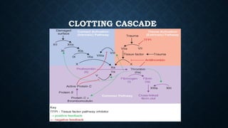 CLOTTING CASCADE
 