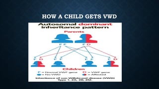 HOW A CHILD GETS VWD
 