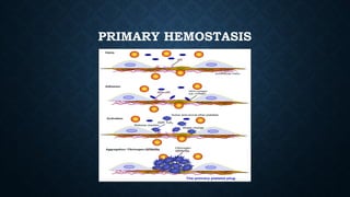 PRIMARY HEMOSTASIS
 