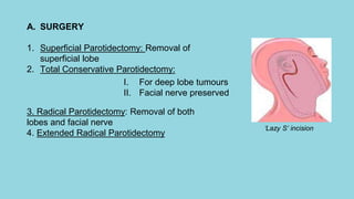 Parotid Gland Case And Basic Anatomy PPTX parotid-gland-case-and-basic-anatomy-pptx