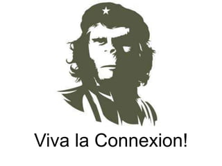Viva la Connexion!
 