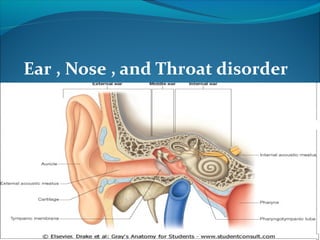 Ear , Nose , and Throat disorder
 