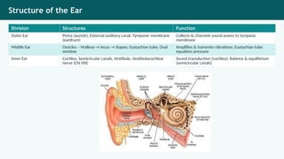 Ent Slides Comprehensive Overview of Ear, Nose & Throat (ENT) Disorders and ...