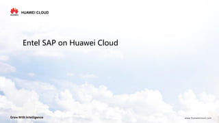 Entel SAP on Huawei Cloud
 