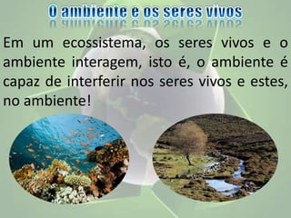 Em um ecossistema, os seres vivos e o
ambiente interagem, isto é, o ambiente é
capaz de interferir nos seres vivos e estes,
no ambiente!
 