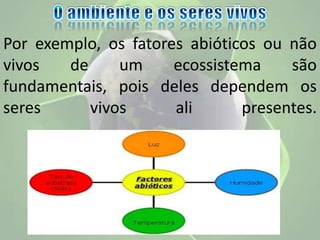 Por exemplo, os fatores abióticos ou não
vivos de um ecossistema são
fundamentais, pois deles dependem os
seres vivos ali presentes.
 