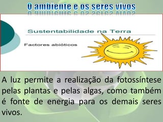 A luz permite a realização da fotossíntese
pelas plantas e pelas algas, como também
é fonte de energia para os demais seres
vivos.
 