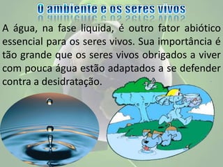 A água, na fase liquida, é outro fator abiótico
essencial para os seres vivos. Sua importância é
tão grande que os seres vivos obrigados a viver
com pouca água estão adaptados a se defender
contra a desidratação.
 