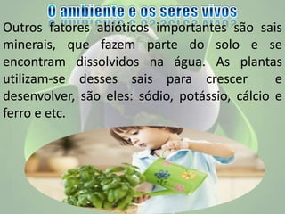 Outros fatores abióticos importantes são sais
minerais, que fazem parte do solo e se
encontram dissolvidos na água. As plantas
utilizam-se desses sais para crescer e
desenvolver, são eles: sódio, potássio, cálcio e
ferro e etc.
 