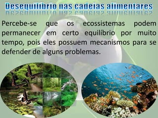 Percebe-se que os ecossistemas podem
permanecer em certo equilíbrio por muito
tempo, pois eles possuem mecanismos para se
defender de alguns problemas.
 