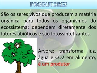 São os seres vivos que produzem a matéria
orgânica para todos os organismos do
ecossistema: dependem diretamente dos
fatores abióticos e são fotossintetizantes.
Árvore: transforma luz,
água e CO2 em alimento,
é um produtor.
 