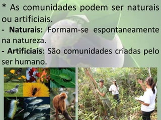 * As comunidades podem ser naturais
ou artificiais.
- Naturais: Formam-se espontaneamente
na natureza.
- Artificiais: São comunidades criadas pelo
ser humano.
 