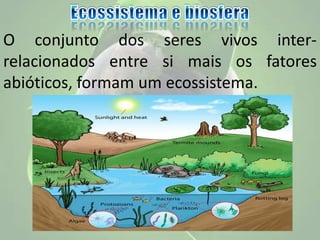 O conjunto dos seres vivos inter-
relacionados entre si mais os fatores
abióticos, formam um ecossistema.
 
