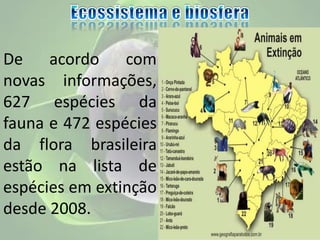 De acordo com
novas informações,
627 espécies da
fauna e 472 espécies
da flora brasileira
estão na lista de
espécies em extinção
desde 2008.
 