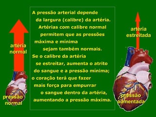 artéria normal artéria estreitada pressão  normal pressão aumentada A pressão arterial depende  da largura (calibre) da artéria.  Artérias com calibre normal permitem que as pressões máxima e mínima  sejam também normais. Se o calibre da artéria  se estreitar, aumenta o atrito  do sangue e a pressão mínima;  o coração terá que fazer  mais força para empurrar  o sangue dentro da artéria, aumentando a pressão máxima. 