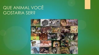 QUE ANIMAL VOCÊ
GOSTARIA SER?

 