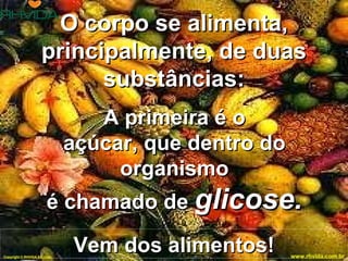 O corpo se alimenta,
                     principalmente, de duas
                           substâncias:
                                  A primeira é o
                               açúcar, que dentro do
                                    organismo
                        é chamado de glicose.

Copyright © RHVIDA S/C Ltda.
                               Vem dos alimentos!      www.rhvida.com.br
 