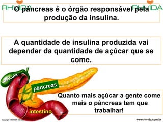 Copyright  © RHVIDA S/C Ltda. www.rhvida.com.br pâncreas intestino vesícula O pâncreas é o órgão responsável pela produção da insulina. Quanto mais açúcar a gente come  mais o pâncreas tem que trabalhar! A quantidade de insulina produzida vai depender da quantidade de açúcar que se come. 