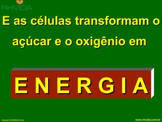E as células transformam o açúcar e o oxigênio em  E N E R G I A 