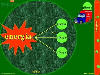 energia sangue G G G G célula glicose glicose glicose O 2 glicose Insulina Ltda. 