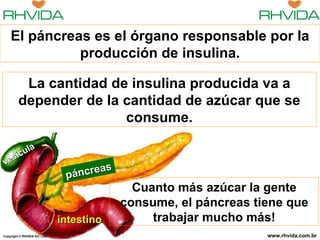 Copyright  © RHVIDA S/C Ltda. www.rhvida.com.br páncreas intestino vesícula El páncreas es el órgano responsable por la producción de insulina. Cuanto más azúcar la gente consume, el páncreas tiene que trabajar mucho más! La cantidad de insulina producida va a depender de la cantidad de azúcar que se consume. 