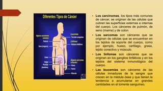  Los carcinomas, los tipos más comunes
de cáncer, se originan de las células que
cubren las superficies externas e internas
del cuerpo. Los cánceres de pulmón, de
seno (mama) y de colon
 Los sarcomas son cánceres que se
originan de células que se encuentran en
los tejidos de soporte del cuerpo, como
por ejemplo, hueso, cartílago, grasa,
tejido conectivo y músculo.
 Los linfomas son cánceres que se
originan en los ganglios linfáticos y en los
tejidos del sistema inmunológico del
cuerpo.
 Las leucemias son cánceres de las
células inmaduras de la sangre que
crecen en la médula ósea y que tienen la
tendencia a acumularse en grandes
cantidades en el torrente sanguíneo.
 