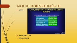 FACTORES DE RIESGO BIOLÓGICO
 VIRUS :
 BACTERIAS: HP
 AFLATOXINAS
 