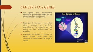 CÁNCER Y LOS GENES
 Los genes son instrucciones
heredadas que residen dentro de los
cromosomas de una persona.
 Cada gen le instruye a una célula
cómo construir un producto
específico--en la mayoría de los
casos, un tipo determinado de
proteína.
 Los genes se alteran o "mutan" de
varias formas como parte del
mecanismo mediante el cual surge el
cáncer.
 