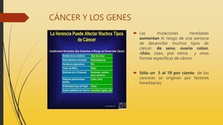 CÁNCER Y LOS GENES
 Las mutaciones heredadas
aumentan el riesgo de una persona
de desarrollar muchos tipos de
cáncer: de seno, ovario colon,
riñón, óseo, piel retina y otras
formas específicas de cáncer.
 Sólo un 5 al 10 por ciento de los
canceres se originan por factores
hereditarios
 