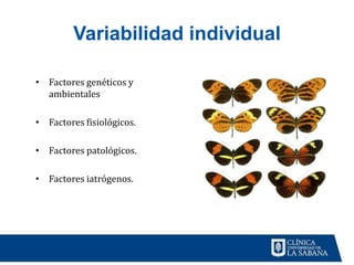 Entendiendo la Farmacocinética | PPTX