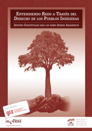 EntEndiEndo REdd a tRavés dEl
dEREcho dE los PuEblos indígEnas
aPuntEs concEPtualEs PaRa los PaísEs andino amazónicos
 