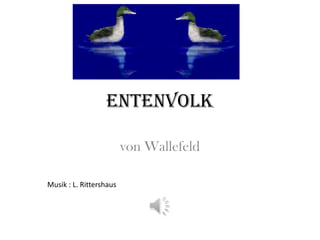 Entenvolk

                         von Wallefeld

Musik : L. Rittershaus
 