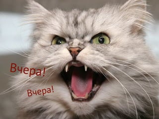 Вчера!
Вчера!
 