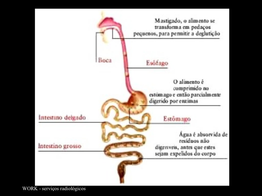 O Que é Enteroclise - RETOEDU