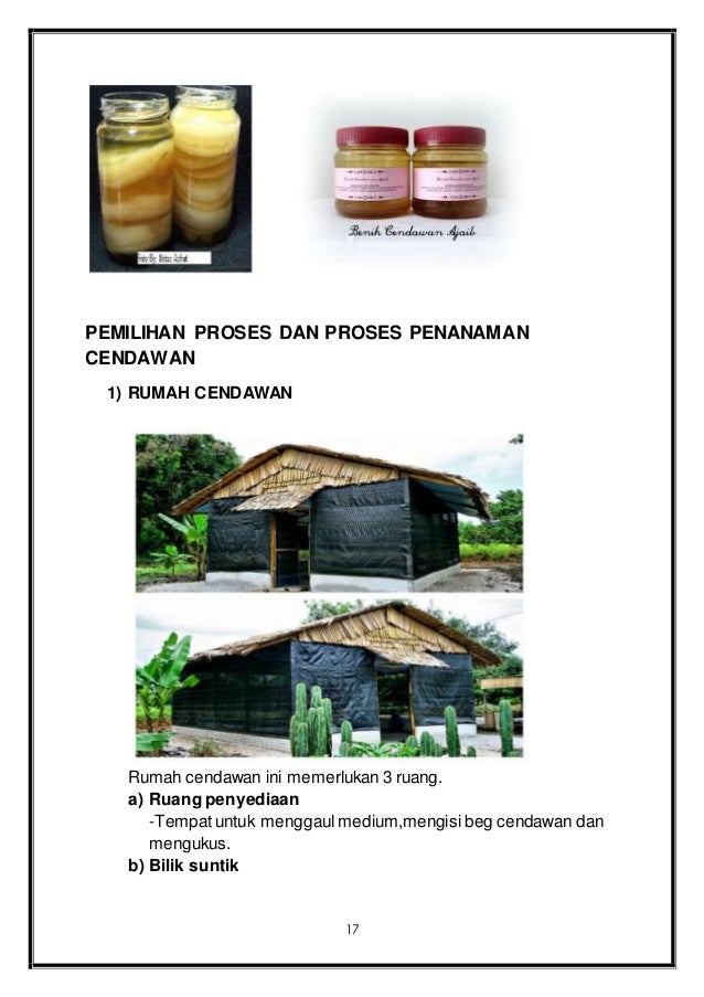 Rancangan Perniagaan Cendawan