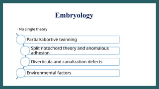 Embryology
• No single theory
Partial/abortive twinning
Split notochord theory and anomalous
adhesion
Diverticula and canalization defects
Environmental factors
 