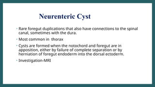 Neurenteric Cyst
• Rare foregut duplications that also have connections to the spinal
canal, sometimes with the dura.
• Most common in thorax
• Cysts are formed when the notochord and foregut are in
apposition, either by failure of complete separation or by
herniation of foregut endoderm into the dorsal ectoderm.
• Investigation-MRI
 