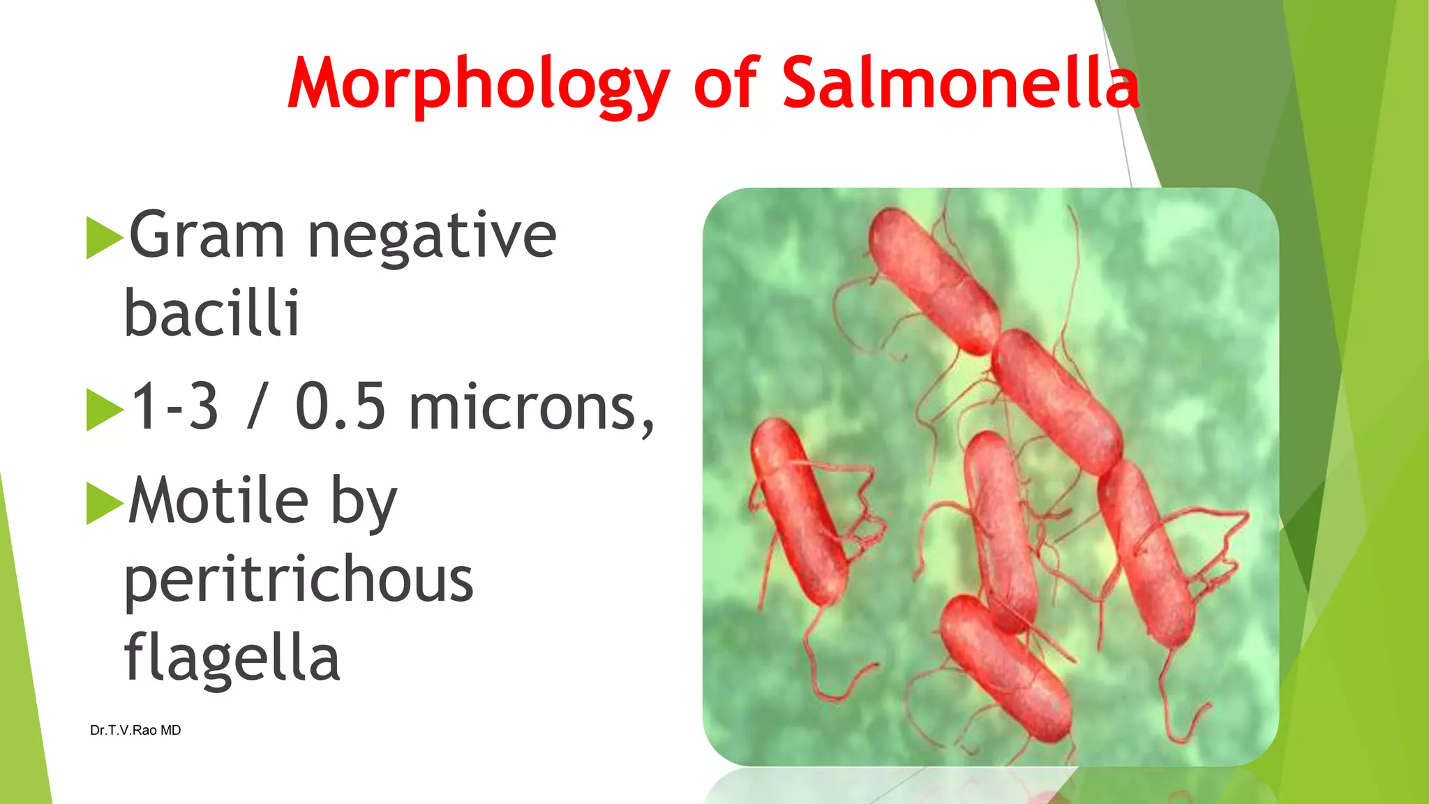 Morphology of Salmonella
Gram
negative
bacilli
1-3 / 0.5 microns,
Motile by
peritrichous
flagella
Dr.T.V.Rao MD
9