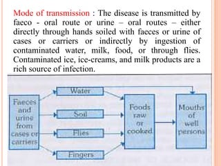 Mode of transmission : The disease is transmitted by
faeco - oral route or urine – oral routes – either
directly through hands soiled with faeces or urine of
cases or carriers or indirectly by ingestion of
contaminated water, milk, food, or through flies.
Contaminated ice, ice-creams, and milk products are a
rich source of infection.
 