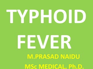 TYPHOID
FEVERM.PRASAD NAIDU
MSc MEDICAL, Ph.D.
 