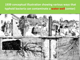 1939 conceptual illustration showing various ways that
typhoid bacteria can contaminate a water well(center)
 