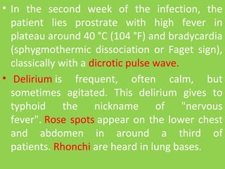 • In  the  second  week  of  the  infection,  the 
patient  lies  prostrate  with  high  fever  in 
plateau around 40 °C (104 °F) and bradycardia 
(sphygmothermic  dissociation  or  Faget  sign), 
classically with a dicrotic pulse wave.
•  Delirium is  frequent,  often  calm,  but 
sometimes  agitated.  This  delirium  gives  to 
typhoid  the  nickname  of  "nervous 
fever". Rose spots appear on the lower chest 
and  abdomen  in  around  a  third  of 
patients. Rhonchi are heard in lung bases.
 