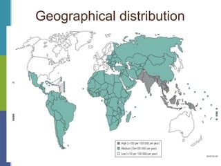 Geographical distribution
 