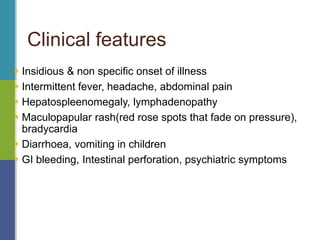 Clinical features
 Insidious & non specific onset of illness
 Intermittent fever, headache, abdominal pain
 Hepatospleenomegaly, lymphadenopathy
 Maculopapular rash(red rose spots that fade on pressure),
bradycardia
 Diarrhoea, vomiting in children
 GI bleeding, Intestinal perforation, psychiatric symptoms
 