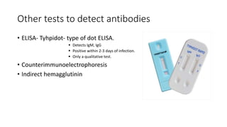 Other tests to detect antibodies
• ELISA- Tyhpidot- type of dot ELISA.
 Detects IgM, IgG
 Positive within 2-3 days of infection.
 Only a qualitative test.
• Counterimmunoelectrophoresis
• Indirect hemagglutinin
 