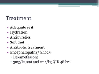 Treatment
• Adequate rest
• Hydration
• Antipyretics
• Soft diet
• Antibiotic treatment
• Encephalopathy/ Shock:
▫ Dexamethasone
▫ 3mg/kg stat and 1mg/kg QID 48 hrs
 