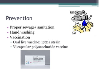 Prevention
• Proper sewage/ sanitation
• Hand washing
• Vaccination
▫ Oral live vaccine: Ty21a strain
▫ Vi capsular polysaccharide vaccine
 