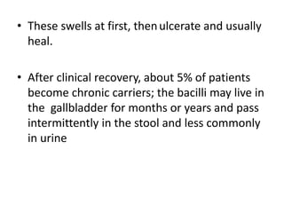 • These swells at first, thenulcerate and usually
heal.
• After clinical recovery, about 5% of patients
become chronic carriers; the bacilli may live in
the gallbladder for months or years and pass
intermittently in the stool and less commonly
in urine
 