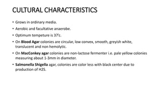 CULTURAL CHARACTERISTICS
• Grows in ordinary media.
• Aerobic and facultative anaerobe.
• Optimum tempeture is 37’c.
• On Blood Agar colonies are circular, low convex, smooth, greyish white,
translucent and non hemolytic.
• On MacConkey agar colonies are non-lactose fermenter i.e. pale yellow colonies
measuring about 1-3mm in diameter.
• Salmonella Shigella agar, colonies are color less with black center due to
production of H2S.
 
